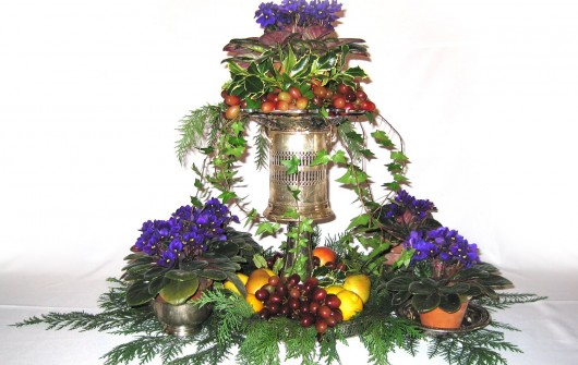 'Tis the Season for Saintpaulia 'Tis the Season for Saintpaulia