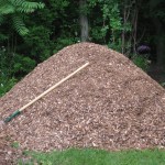 Tip: How to Find Free Mulch Tip: How to Find Free Mulch