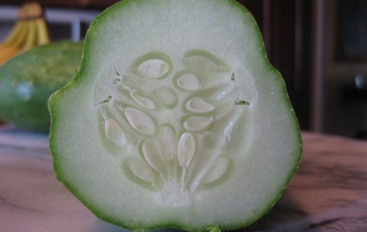 Cucumber-mania!