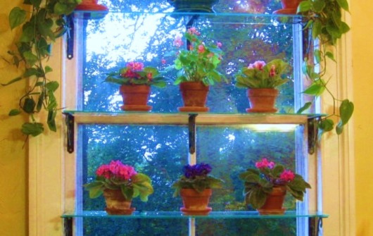 Window Garden, Autumn 2011