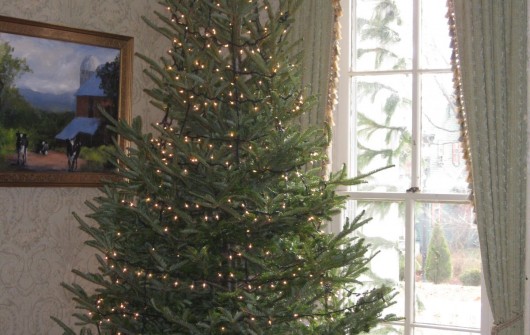 Tips for Treating, Lighting, and Decorating a Christmas Tree