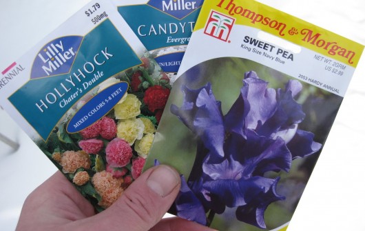 Winter-Sowing 101