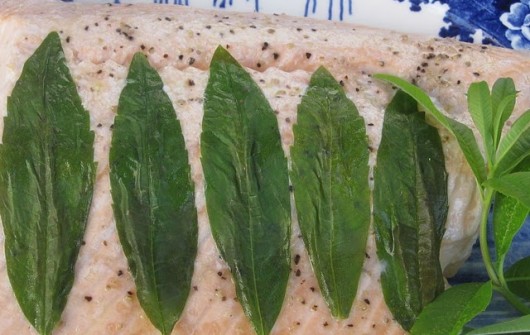 Salmon, Oven-Steamed in Lemon Verbena & Pinot Grigio Salmon, Oven-Steamed in Lemon Verbena & Pinot Grigio