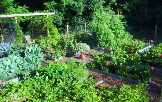 Your Veggie Garden, in Hindsight