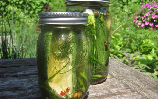 Super-Easy Refrigerator Pickles Super-Easy Refrigerator Pickles