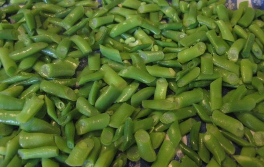 Preserving the Harvest: Freezing Green Beans Preserving the Harvest: Freezing Green Beans