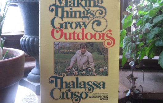 Garden Gurus & A Giveaway