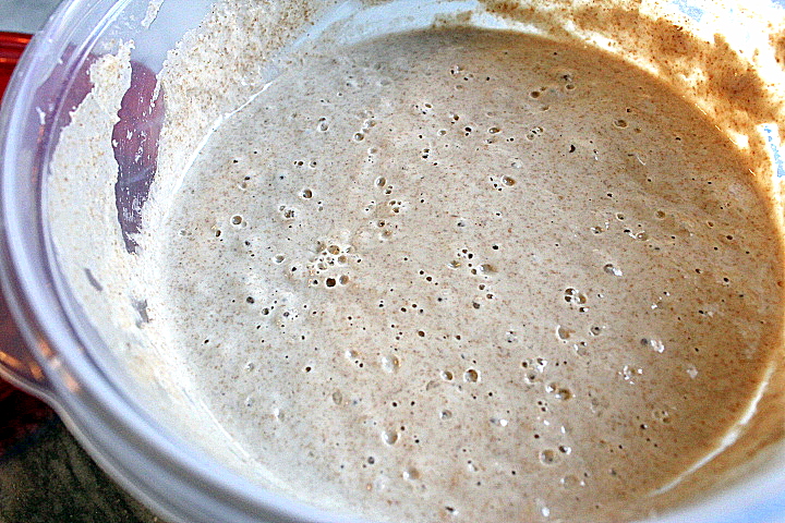 sourdough bubbles