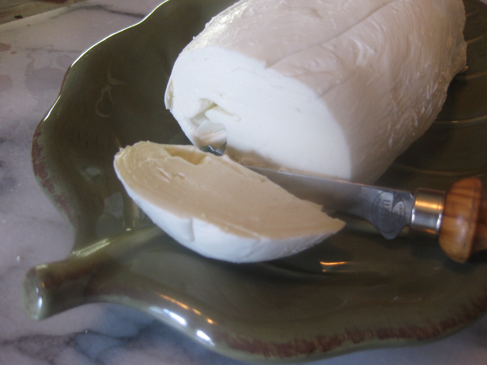 Homemade Mozzarella in 30 Minutes – Kevin Lee Jacobs