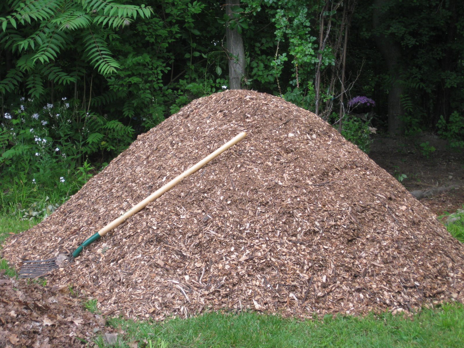 Image of Shredded bark mulch free to use