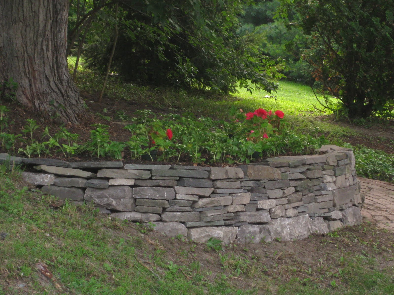 How to build a retaining wall around a tree on a slope