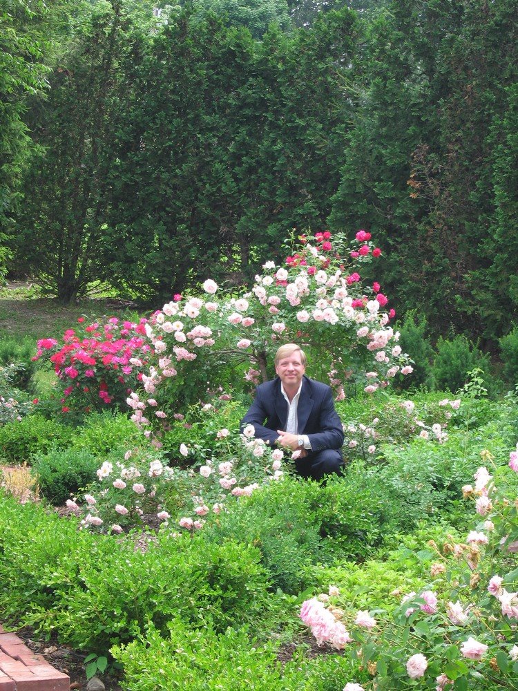 Are Roses REALLY Worth the Effort?