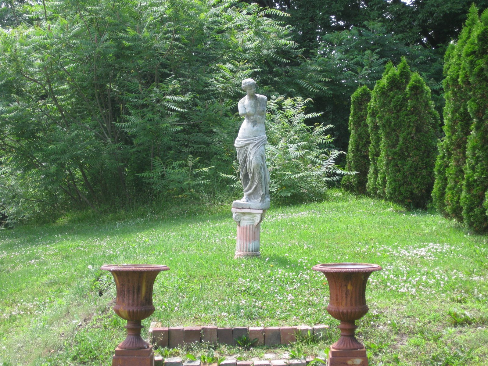 Venus Gets a New Look