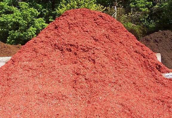 Garden Taboos…Mine & Yours