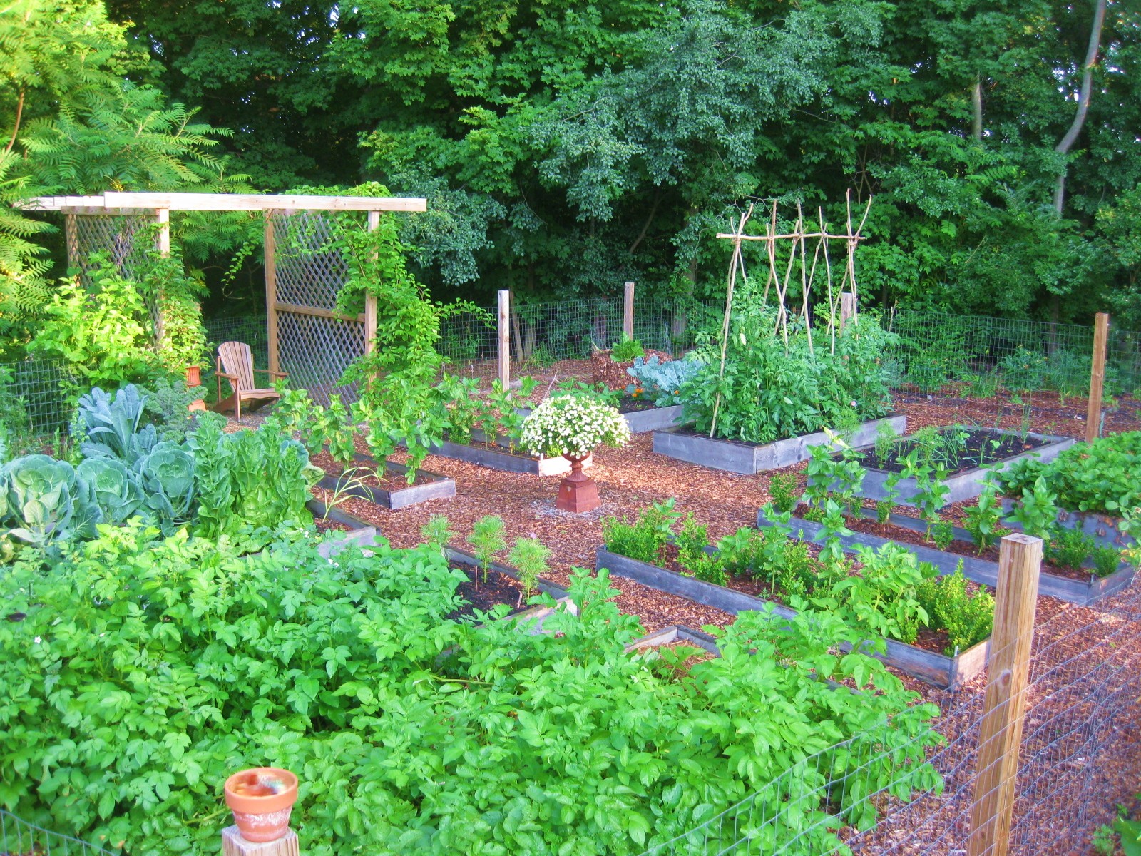 Wooden Garden,vegetable,raised Beds,herb Planter,border,treated
