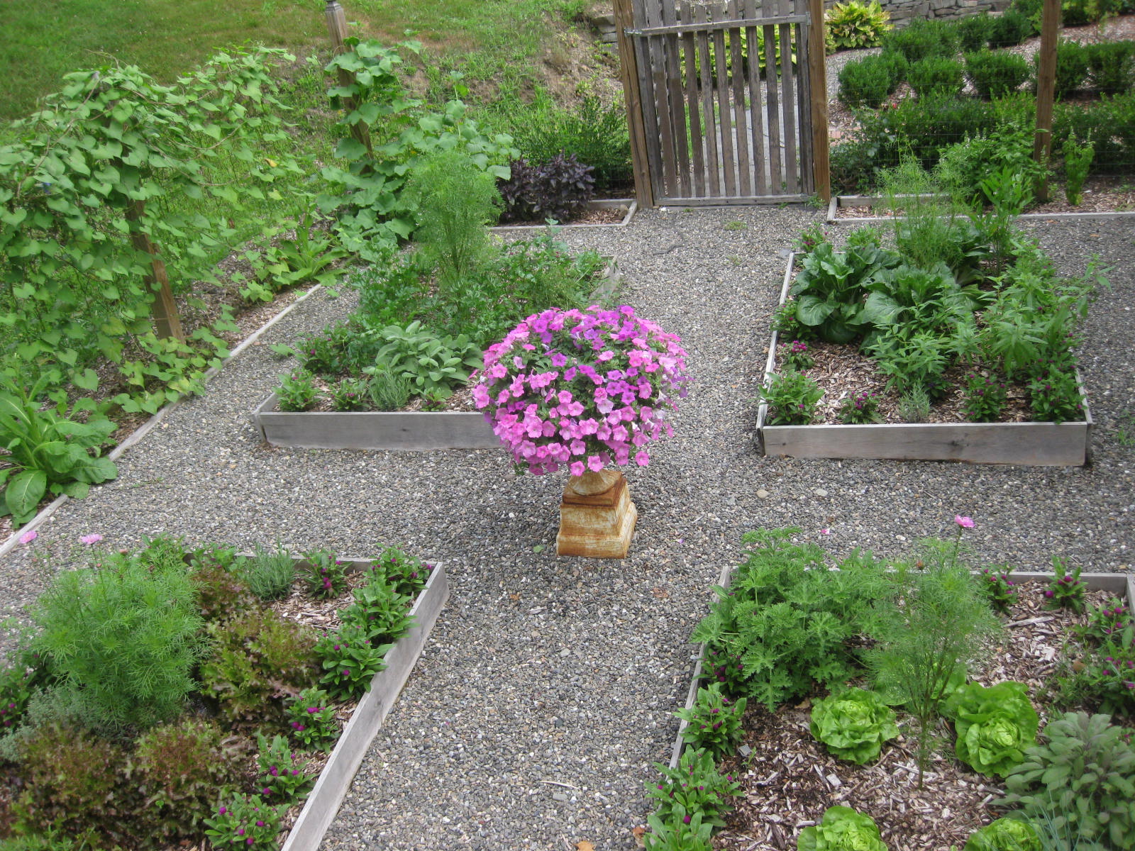 creating a raised bed garden - kevin lee jacobs