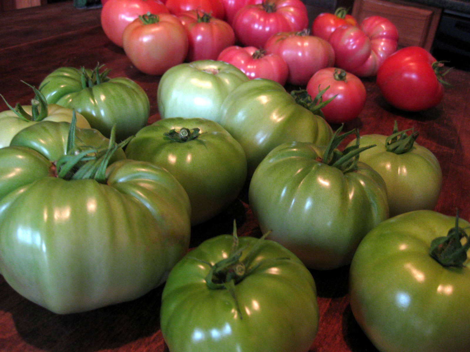 Growing Tomatoes in Southwest Missouri: Tips to Get the First Ripe Fruit Soon!