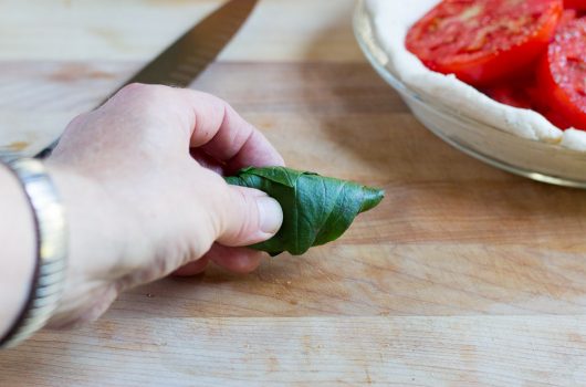 tightly roll up the basil leaves 