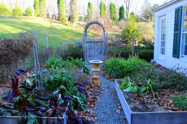 How I Prepare My Raised Beds for Winter