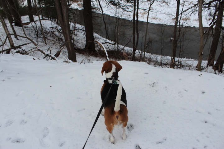 Garden Tour, January 2013