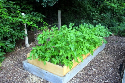 Creating a Raised Bed Garden – Kevin Lee Jacobs