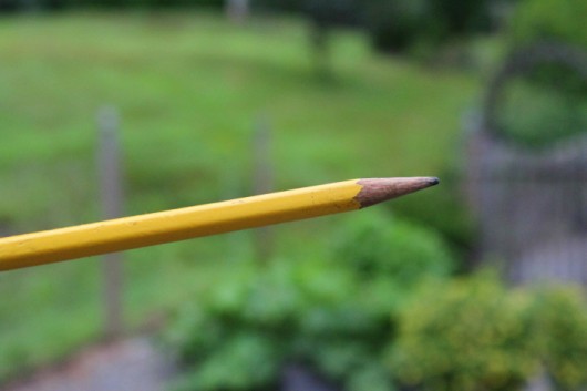 use a pencil to make holes in soil