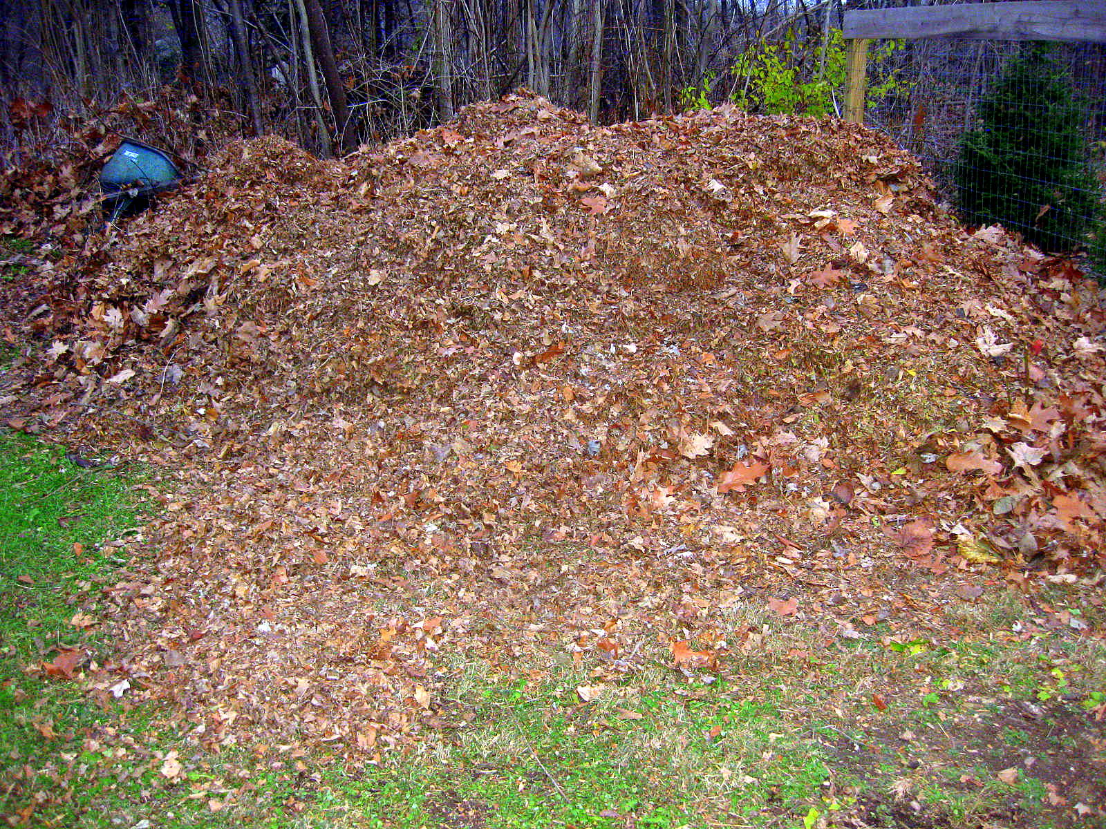 How to Make and Use Leaf Mold Kevin Lee Jacobs