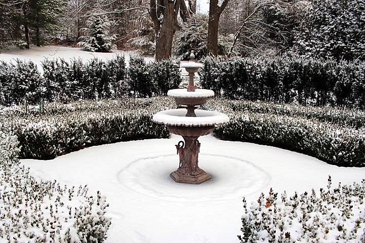 My Gardens in Snow