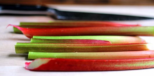 Rhubarb Galette With Red Currant Glaze Kevin Lee Jacobs