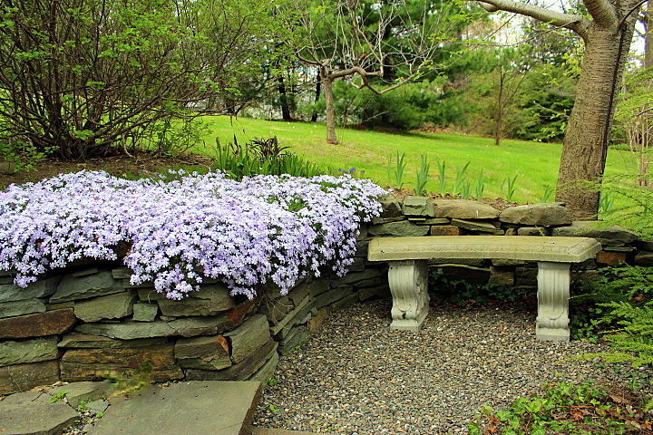 Sippin’ and Strollin’ in the May Garden