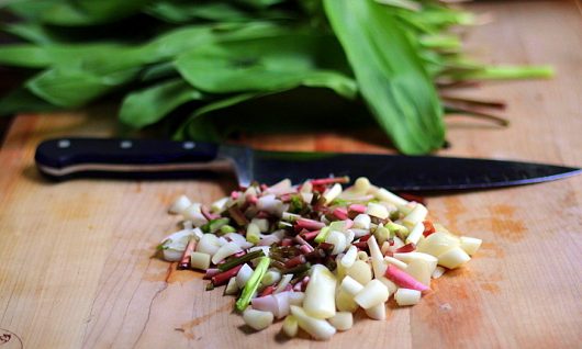 ramps roughly chop the stems and white bulbs
