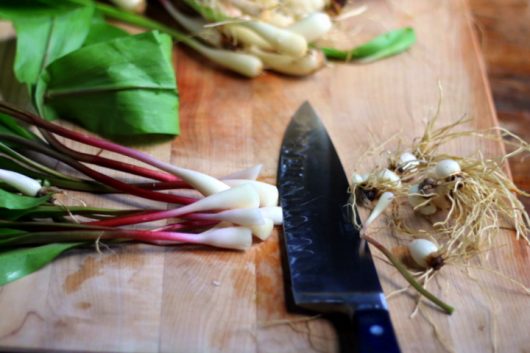 ramps trim roots