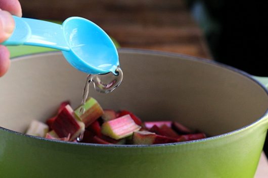rhubarb sauce adding water picassa
