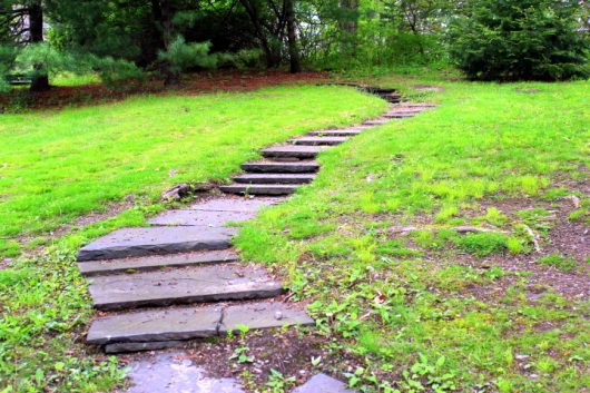 staircase to white pines may 14 2016