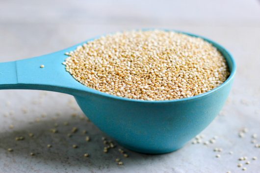 salomon quinoa 6-02-16 jpg