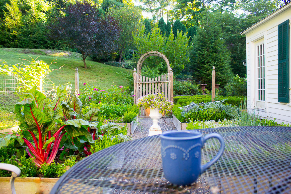 Coffee in the Herb Garden, and A Question for You – Kevin Lee Jacobs