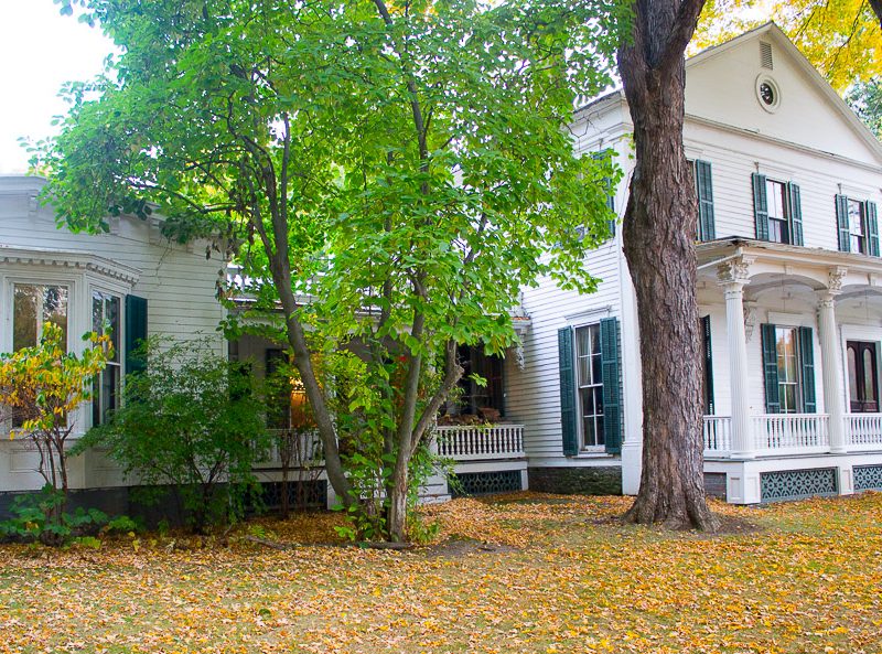 My Garden in Mid-October, 2016