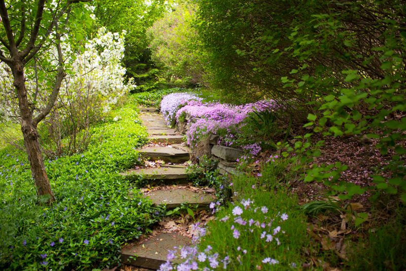 Sip and Stroll Garden Tour: May 2018