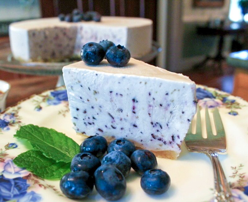 Frozen Yogurt Blueberry Pie (No-Bake!)