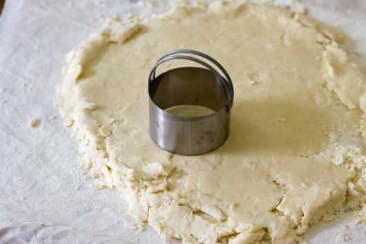 cut out rounds of dough with a 3-inch biscuit cutter