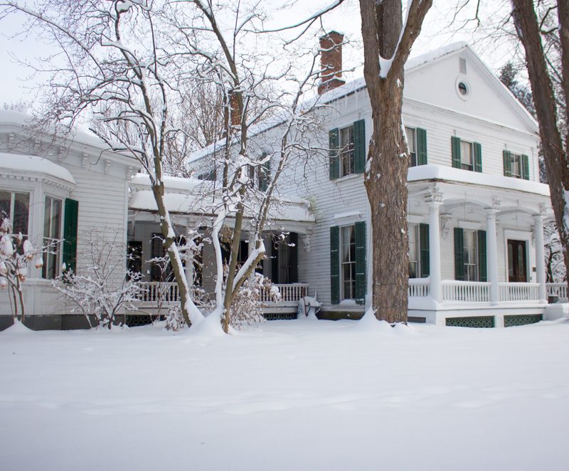 December Garden Tour