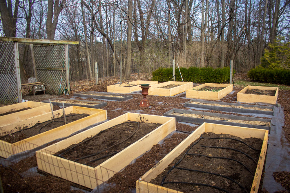 Image of Hemlock timber for raised beds