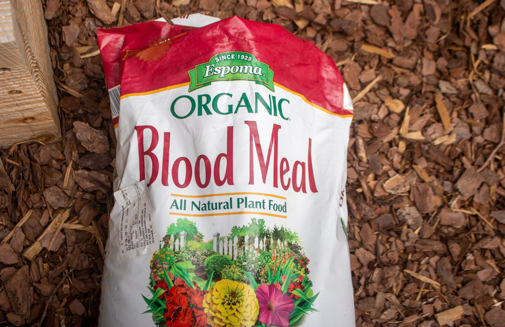 Woodchuck (Groundhog) Repellents That Work Kevin Lee Jacobs