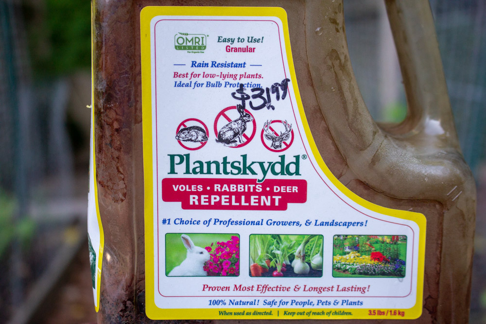 Woodchuck (Groundhog) Repellents That Work Kevin Lee Jacobs