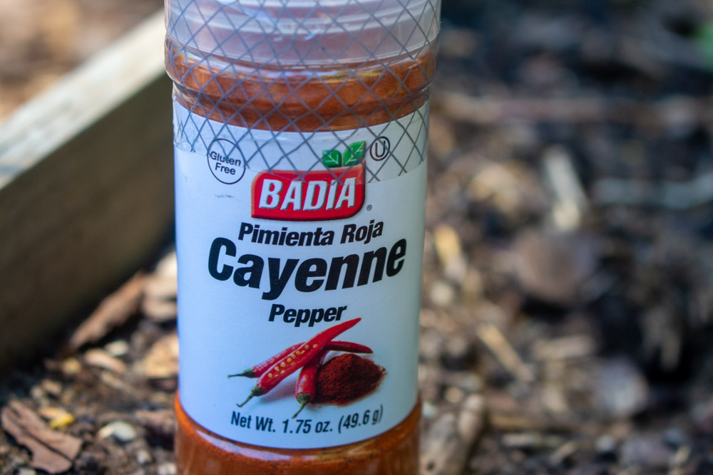 Woodchuck (Groundhog) Repellents That Work Kevin Lee Jacobs