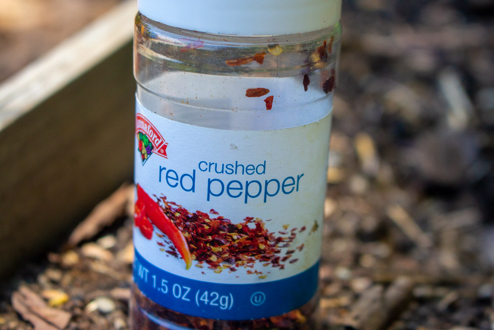 Woodchuck (Groundhog) Repellents That Work Kevin Lee Jacobs