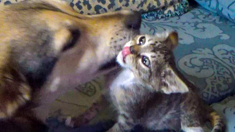 Binky Meets Avery