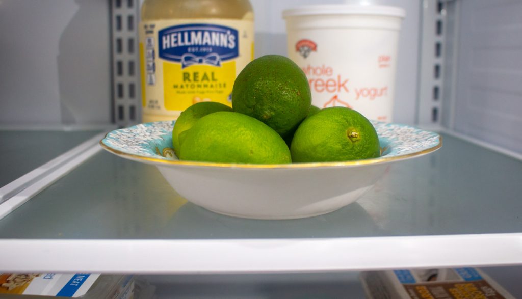 Meet the New Refrigerator Kevin Lee Jacobs